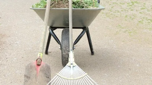 Фото: pxhere.com