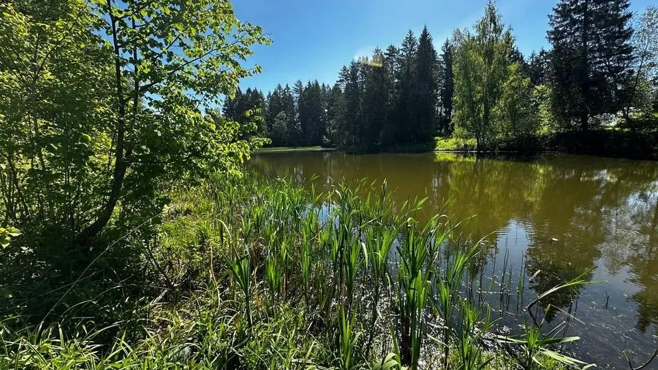 Фото: Пресс-служба министерства экологии и природопользования Московской области