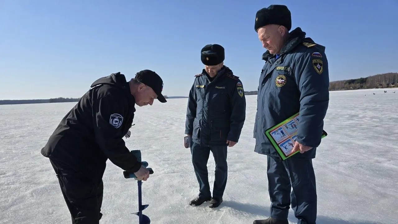 REGIONS/Яна Шаливская