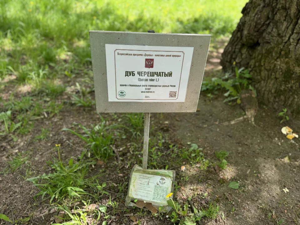 Фото: Полина Абраменко