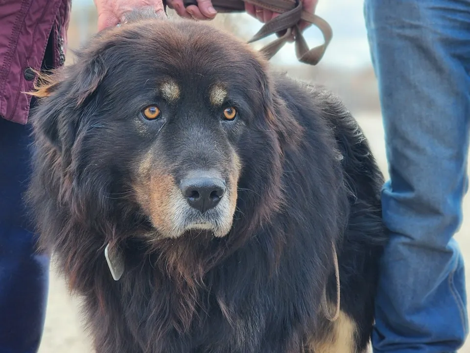 Фото: Максим Сафронов