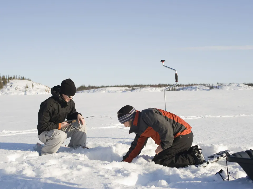 Фото: istockphoto.com/RyersonClark&nbsp;