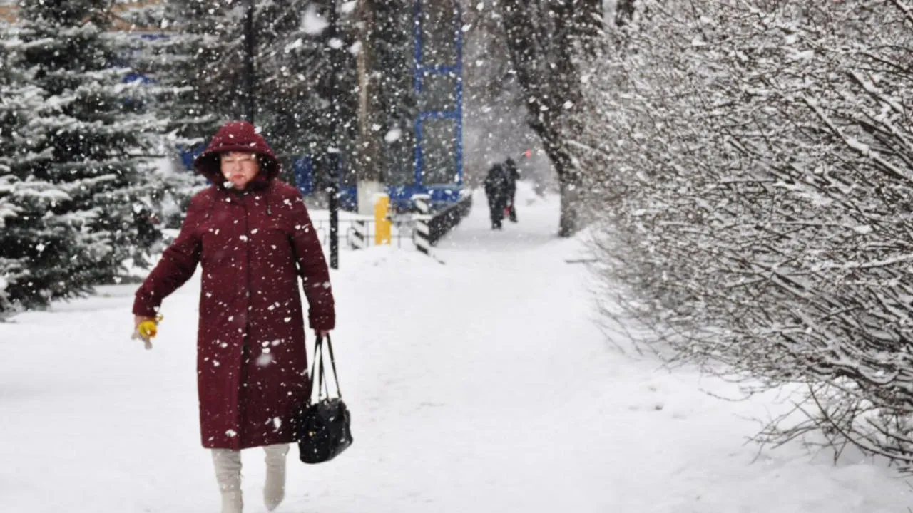 Фото: медиасток.рф