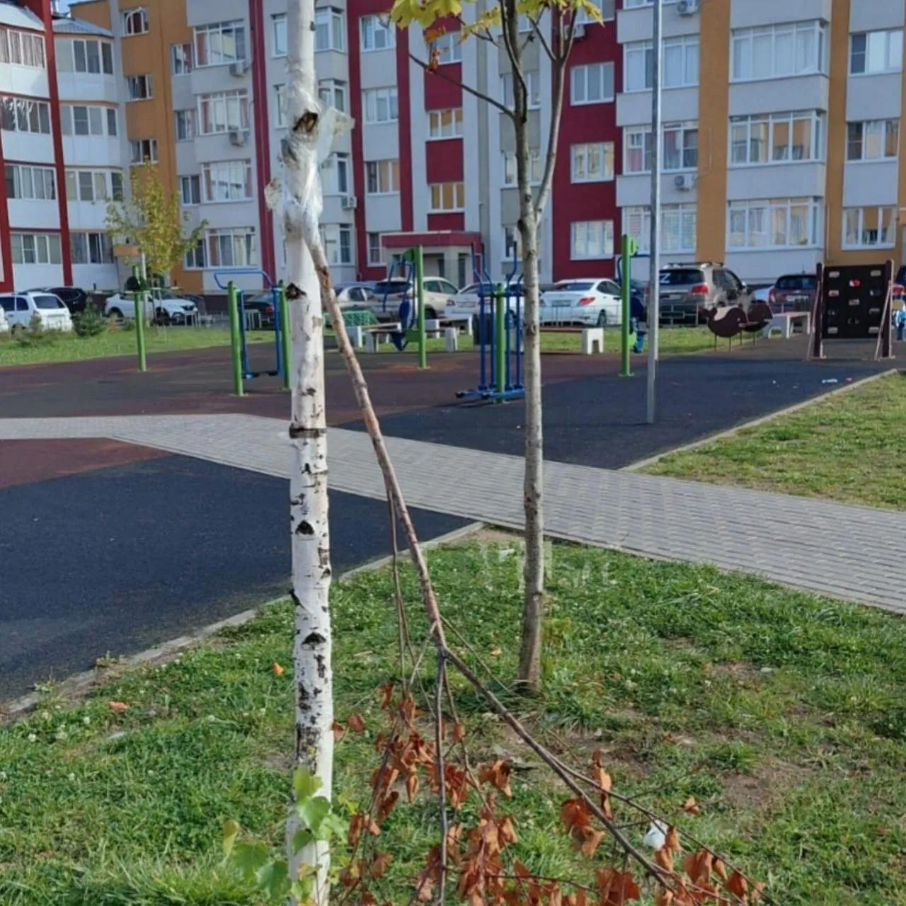 Фото: соцсети