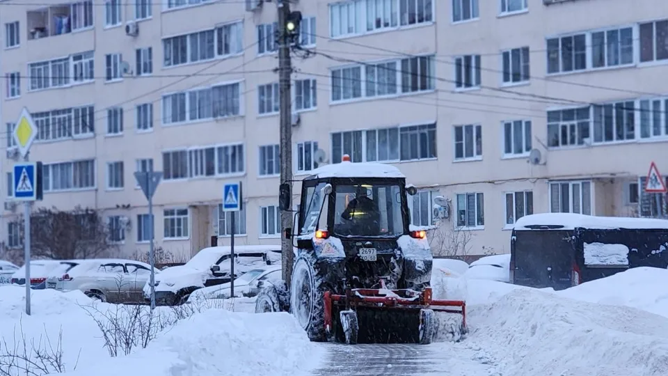 Фото: МедиаБанк Подмосковья/Валерия Тингаева