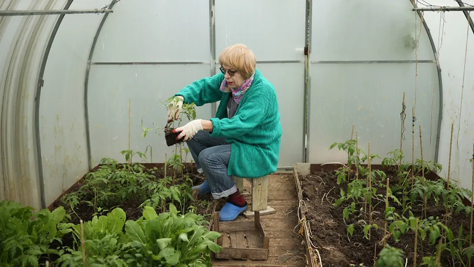 Фото: РИА Новости/Виталий Тимкив