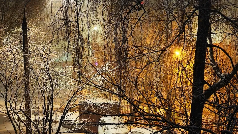 Фото: REGIONS/Алексей Селиверстов