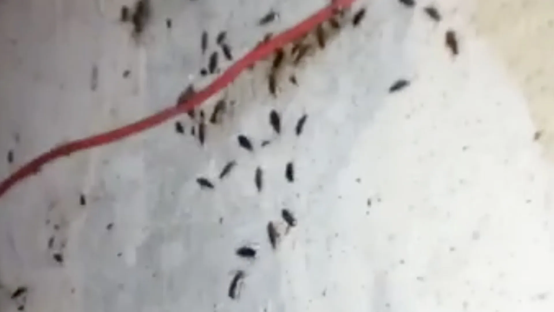 Фото: vk.com/Подслушано в Пущино