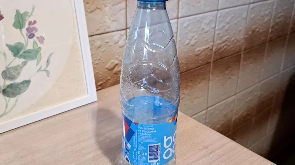 Фото: REGIONS/Татьяна Замятина