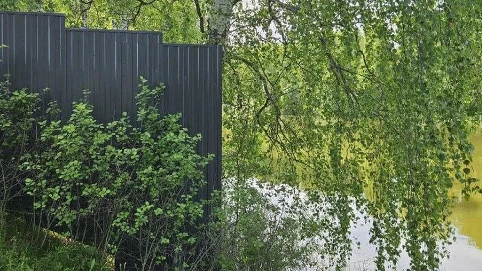 Фото: ГБУ МО «Дирекция Экологических Проектов»