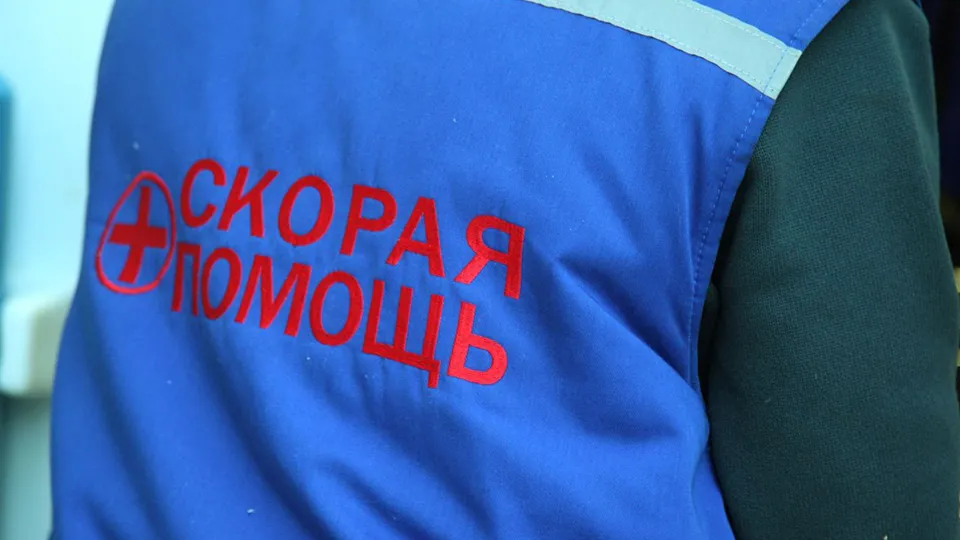 Фото: Медиаархив Подмосковья