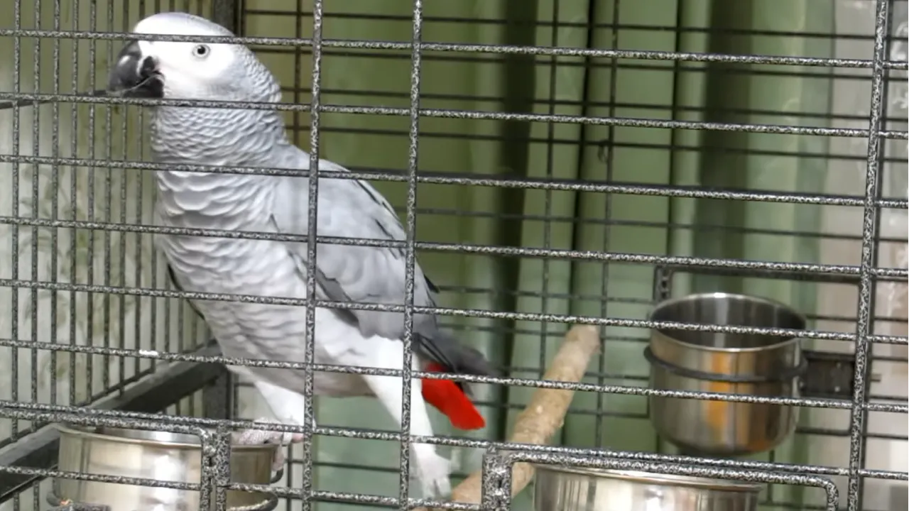 личный архив Елены Пановой