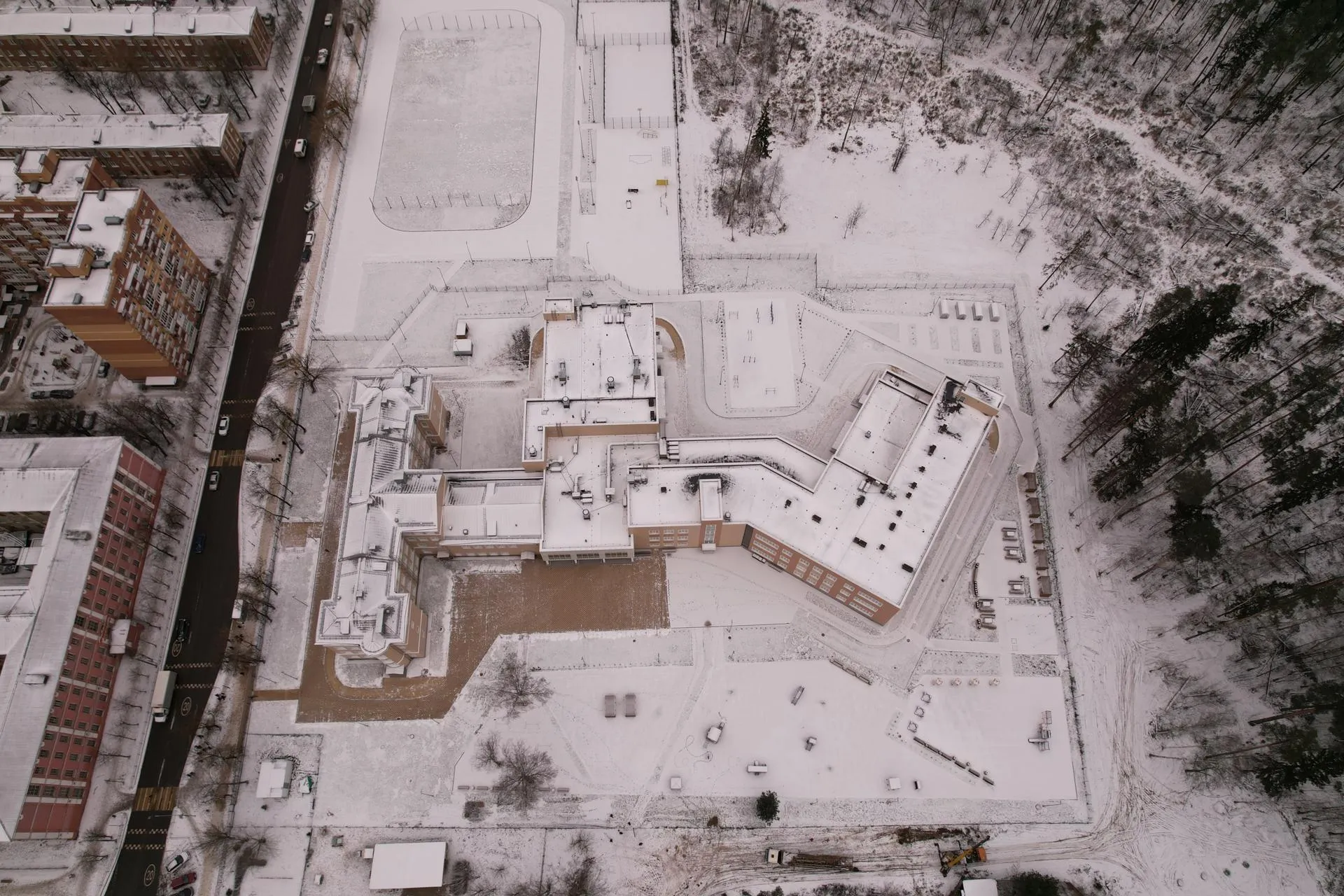 Ксения Борцова