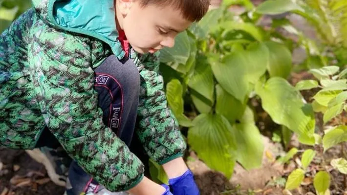 Министерство социального развития Московской области