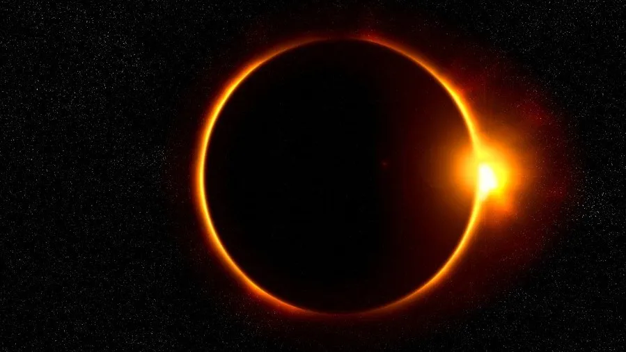 Фото: pxhere.com