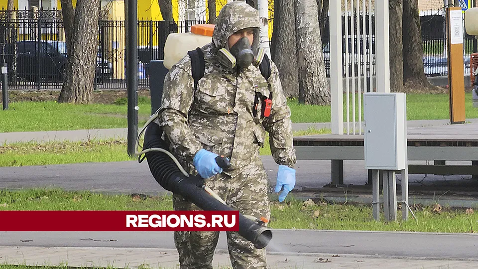 Фото: Андрей Семибратов