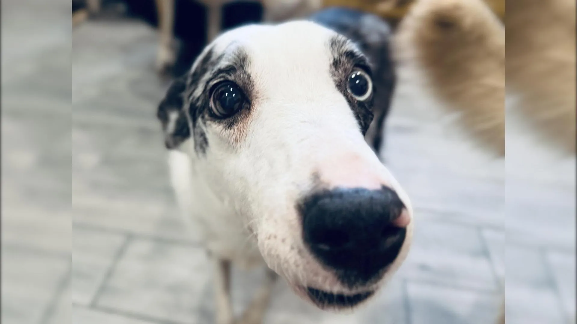 МедиаБанк Подмосковья/Ольга Стаферова