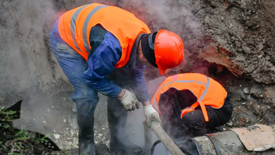 Фото: пресс-служба администрации г.о. Химки