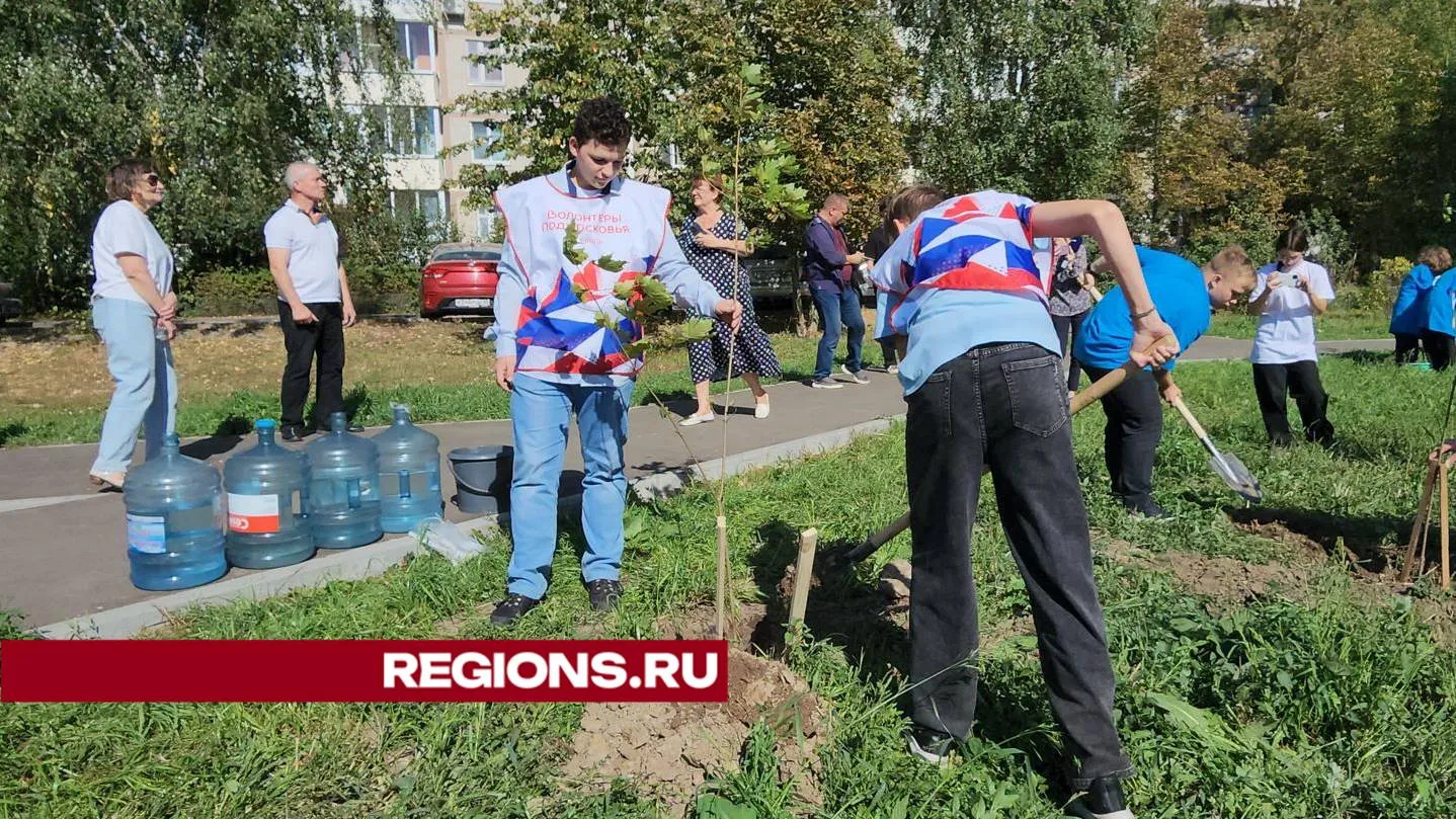 Фото: REGIONS/Валерий Гореловский