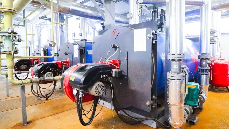 Фото: МедиаБанк Подмосковья/Данила Кирьянов