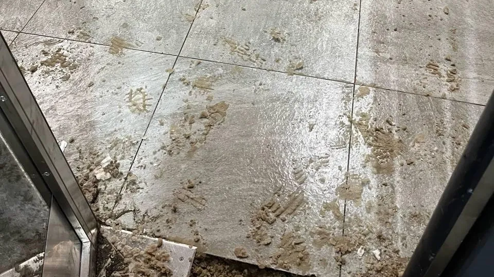 Фото: соцсети