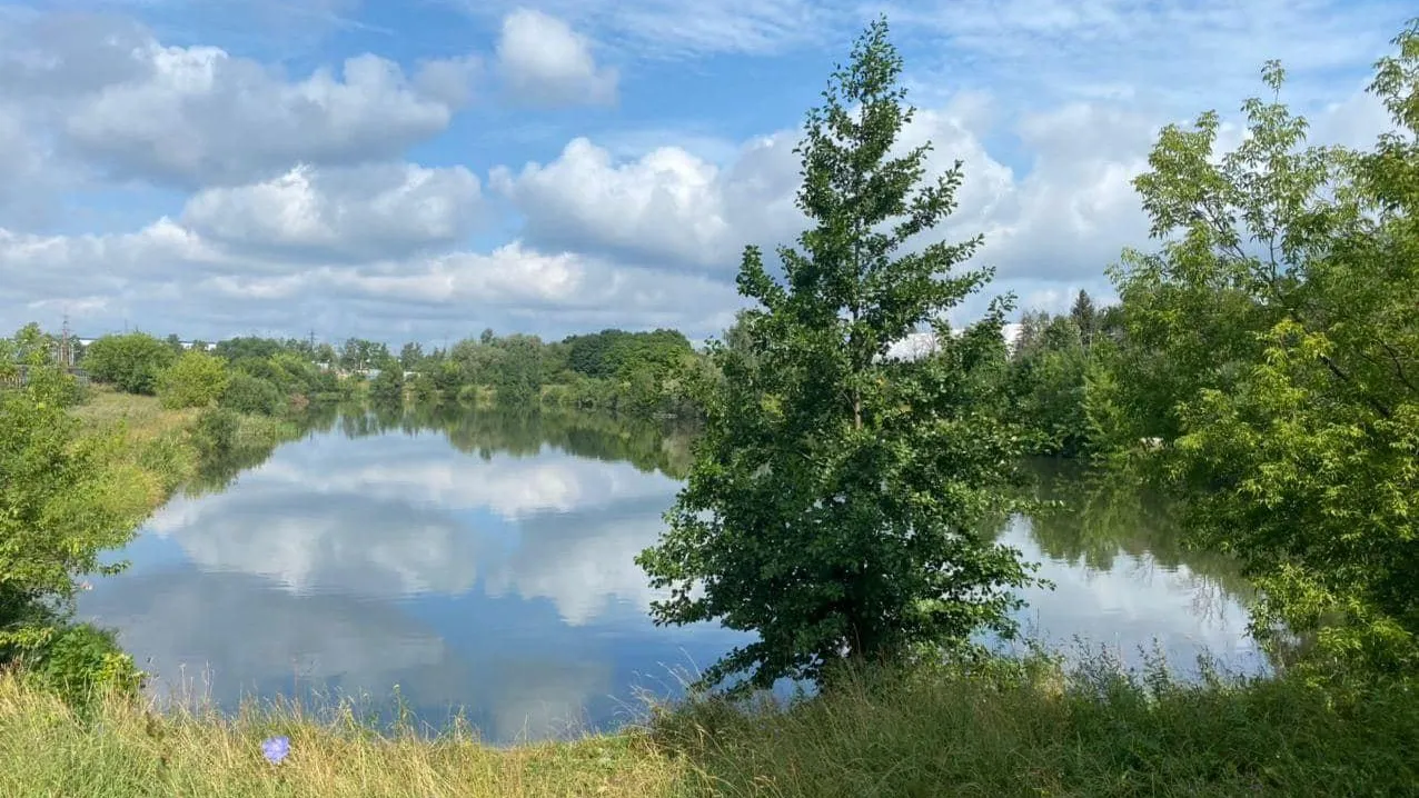 Фото: пресс-служба администрации г. о. Фрязино