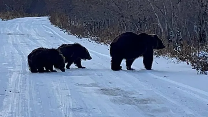 Оскар Кравчук