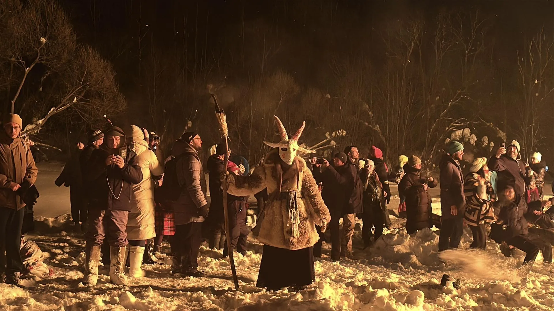 REGIONS/Кристина Тришина