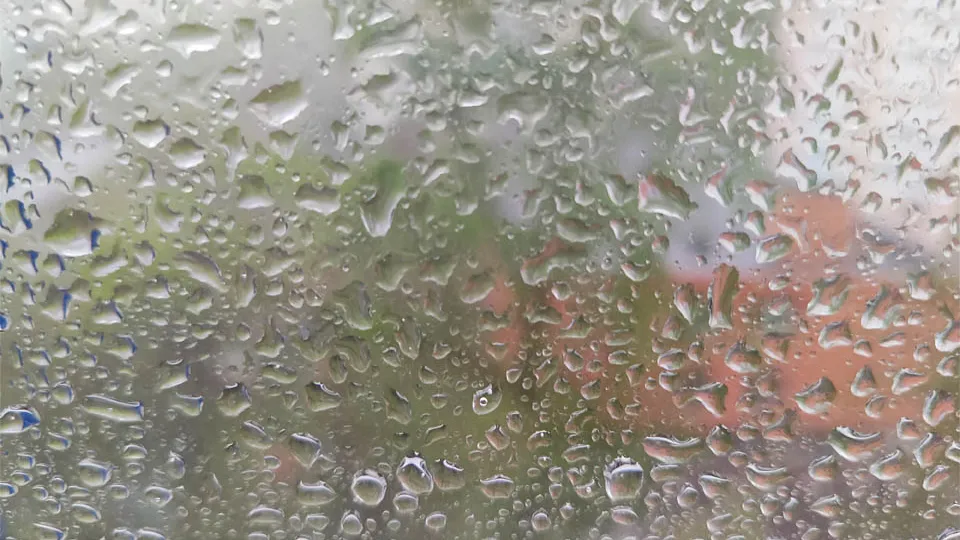 Фото: Дмитрий Кравцов