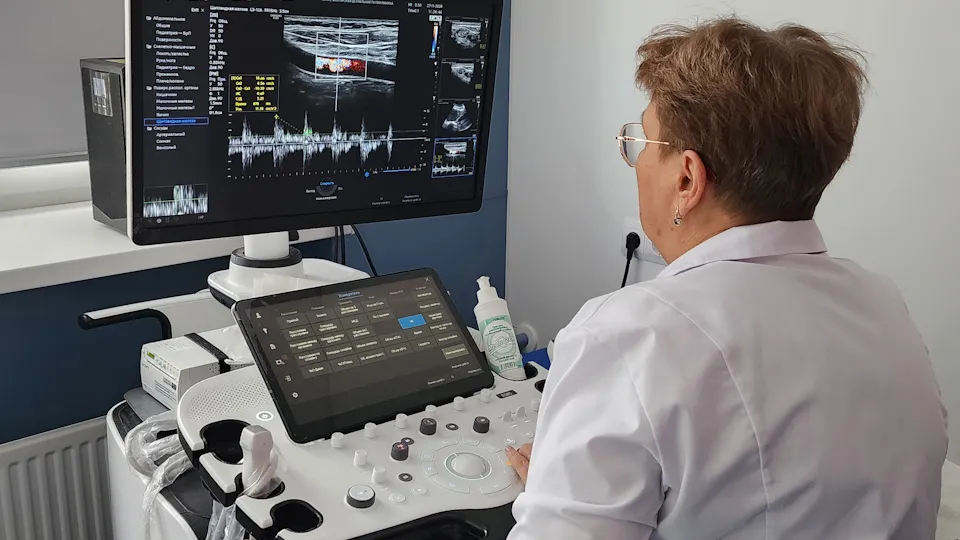 Фото: МедиаБанк Подмосковья/Валентина Максимова