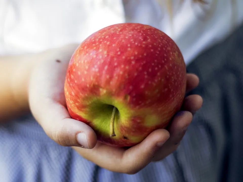 Фото: freepik.com