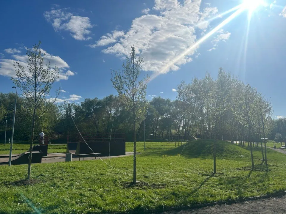 Фото: t.me/brolug