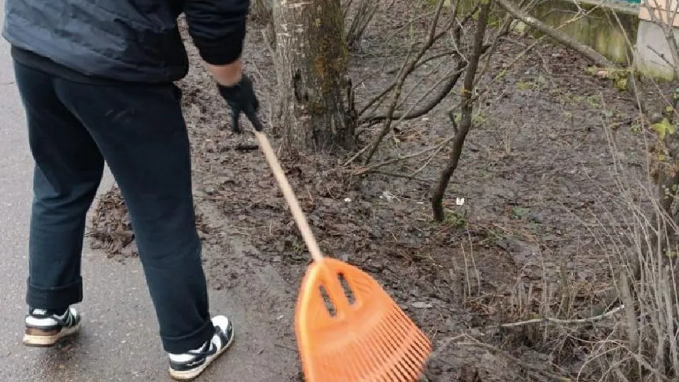 Фото: администрация Одинцовского городского округа