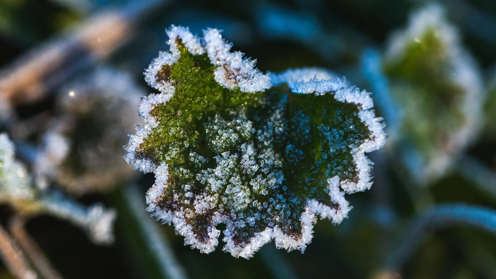 Фото: ru.freepik.com