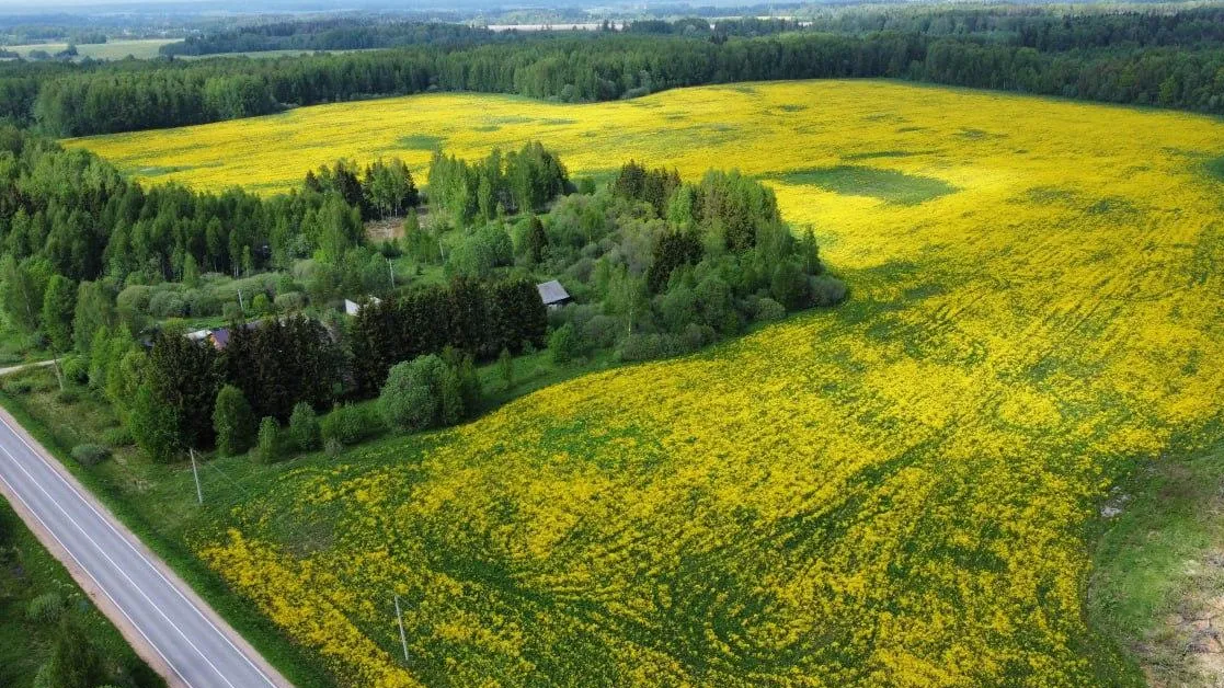 Фото: Минимущества МО