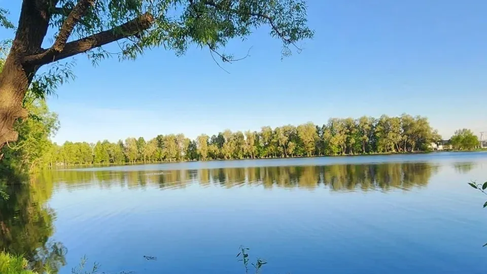 Фото: REGIONS/Наталия Надточая