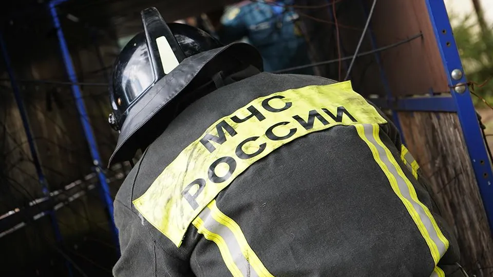 Фото: Фото: REGIONS/Анна Быкова