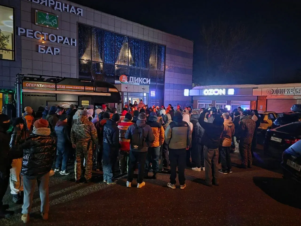 «ЛизаАлерт»