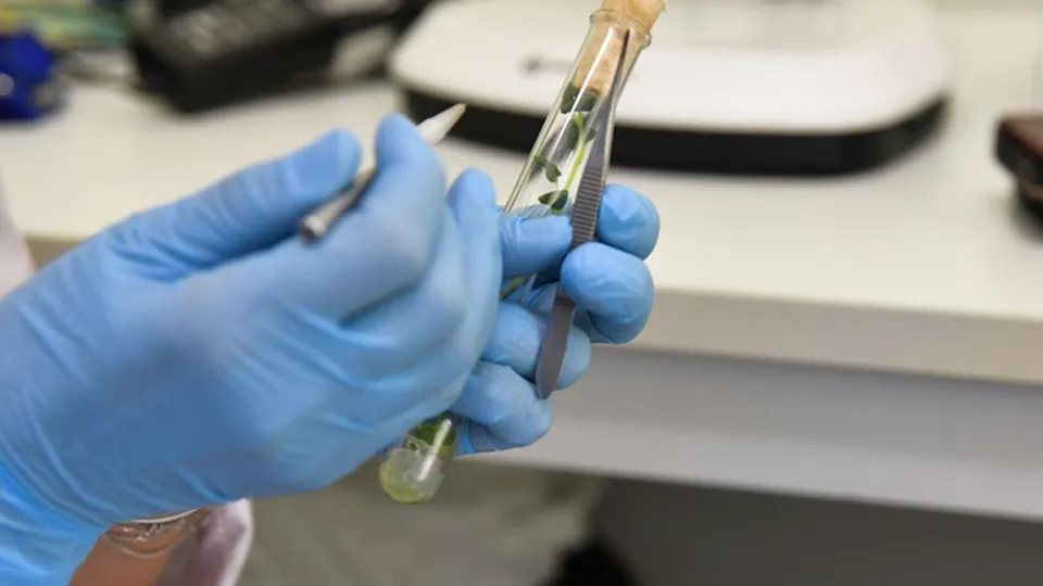 Фото: Министерство сельского хозяйства и продовольствия Московской области