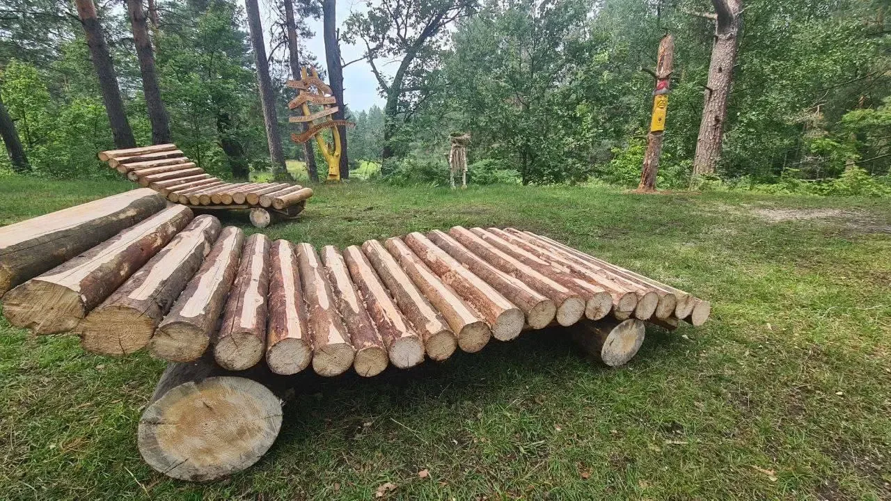 Регина Мамаева