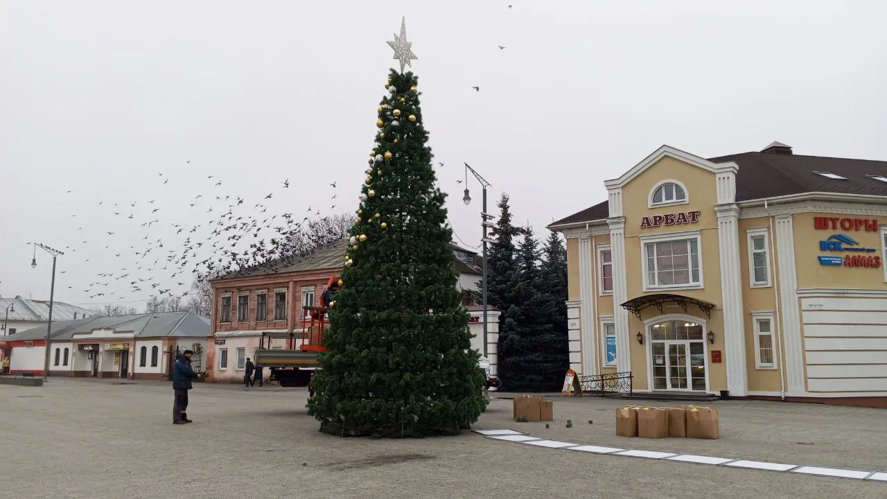 Фото: REGIONS/Василий Тремасов