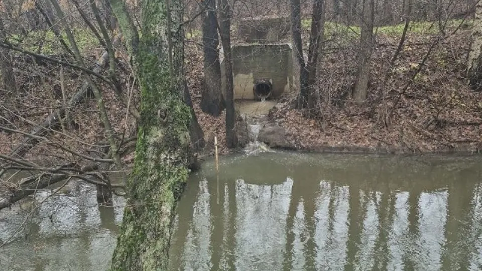 Фото: Министерство экологии и природопользования Московской области
