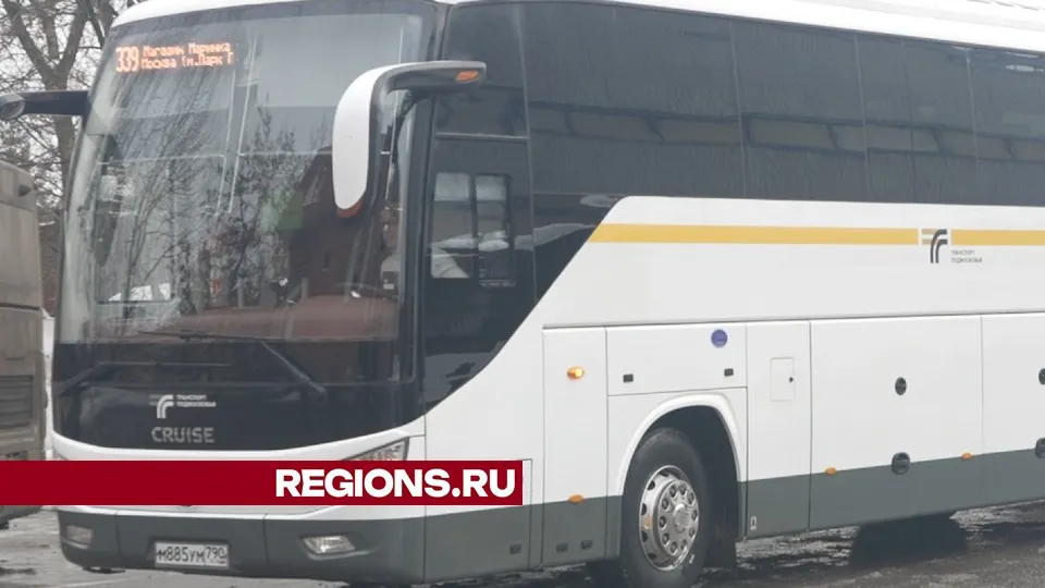 Фото: Елена Аботурова