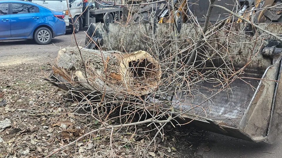 Фото: Ольга Вельшикаева