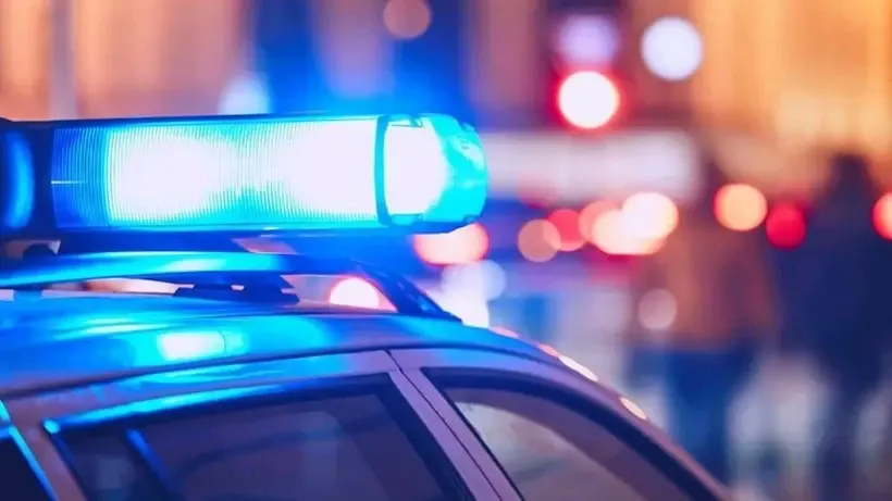 Пресс-служба ГУРБ Московской области