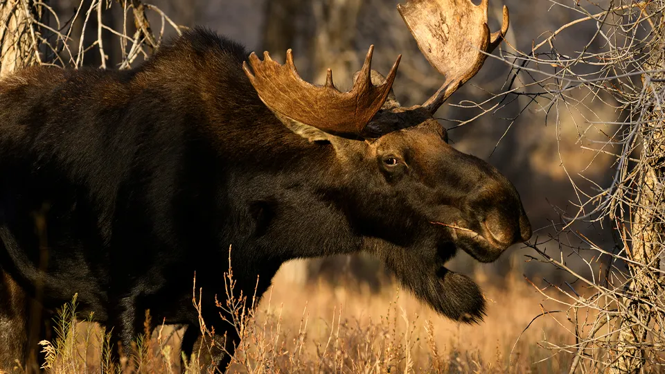 Фото: istockphoto.com