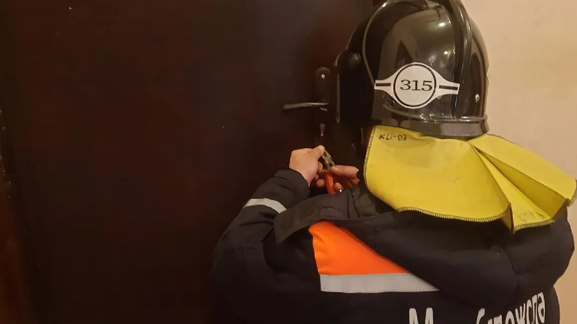 Фото: пресс-служба ГКУ МО «Мособлпожспас»