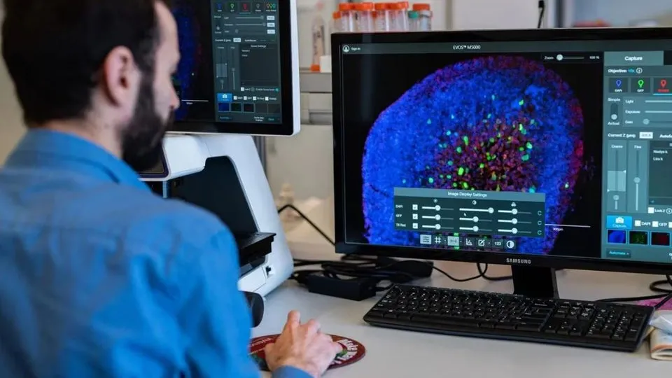 Фото: пресс-служба МФТИ