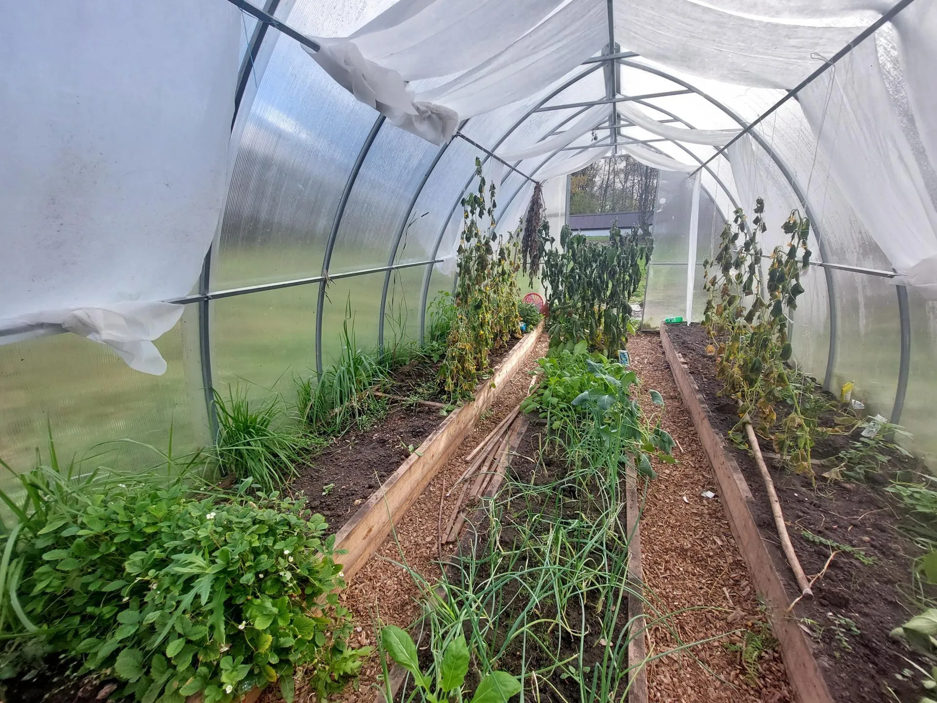 Татьяна Афанасьева