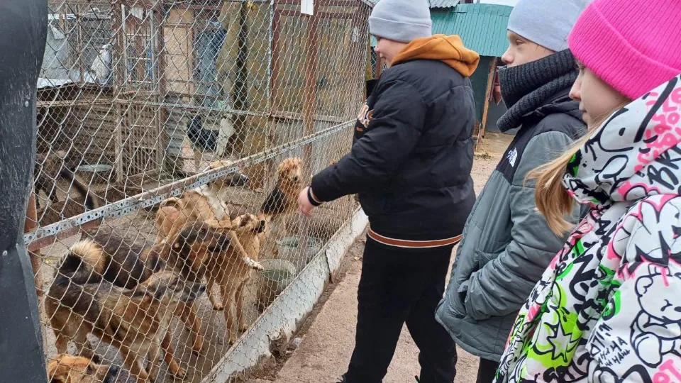 Фото: пресс-служба Администрации г.о. Чехов